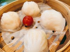 金牌虾饺皇-点都德(北京路贰店)