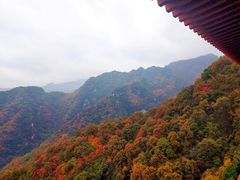 -少华山国家森林公园