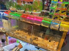 -双季花艺园艺市场(浦东店)