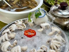 冰镇八爪鱼-肥姐美食(同福中路店)