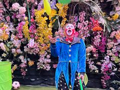 -正佳雨林生态植物园