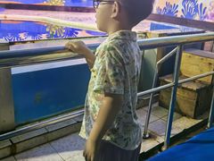 -太平洋海底世界