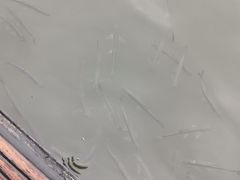 -西湖游船