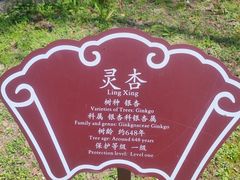 -苏州文庙(姑苏区)