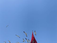 -长岛南北长山旅游景区