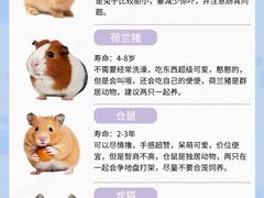 -宠爱国际动物医院·消化内科·心肾内科·ISFM猫友好(望京店)