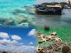 -清水湾旅游度假区