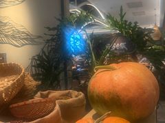 -金海华·四季时堂·第一食堂(现代传媒广场店)