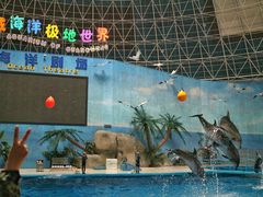 -泉城欧乐堡海洋极地世界
