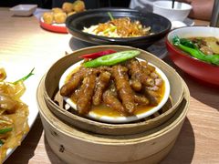 -南枝记