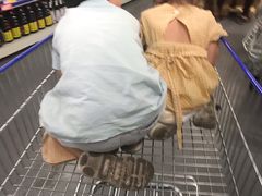 -麦德龙(湖里店)