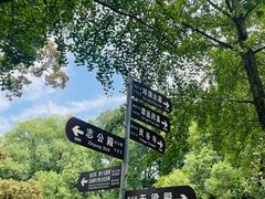 -灵谷景区