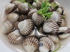 -长平肥姐白粥·海鲜打冷