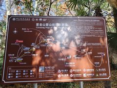 -紫金山山顶公园