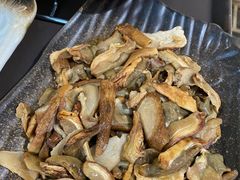 -蘑统田下·野生菌火锅
