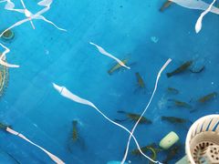 -SHRIMP CLUB万东餐饮钓虾·清吧