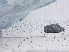 -时代美术馆-成都馆