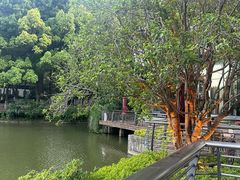-听松楼·花园酒店·自助餐厅(红梅公园店)