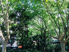 景点-华山儿童公园