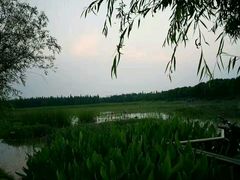 -艾溪湖湿地公园