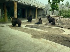 -齐齐哈尔龙沙动植物园
