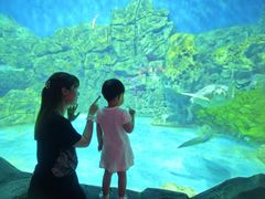 -芜湖新华联大白鲸海洋公园