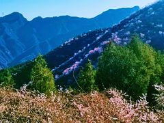 -妙峰山风景名胜区