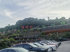 -枇杷园食为鲜火锅(南山店)