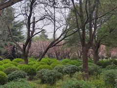 -黄兴公园