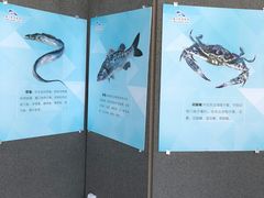 -厦门市图书馆(集美新城馆区)