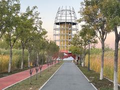 -永定河休闲森林公园