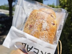 -面包日报
