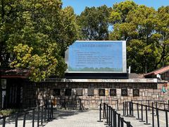 -上海共青森林公园