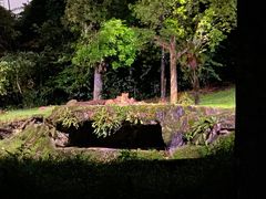 -夜间野生动物园