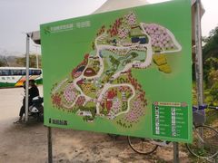 -天适樱花悠乐园