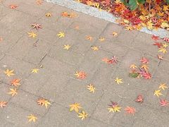 -姥家春饼店(漳州二路店)