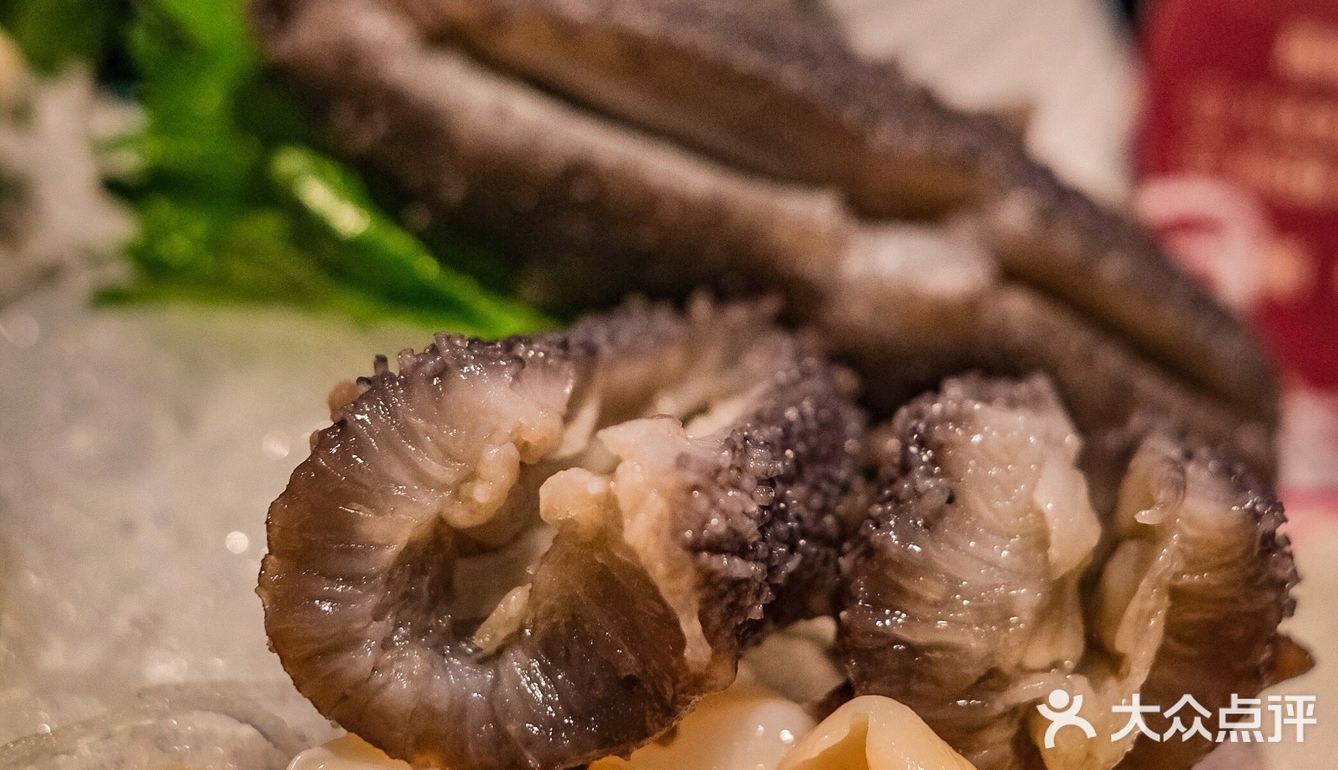 象拔蚌海鲜火锅出新了‼️手抓厚肉海参大口吃❗️