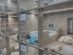 -泸溪河桃酥(秦淮新街口店)