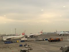-中部国际机场