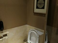 -长沙富力万达文华酒店