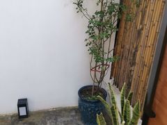 -几静cafe(基湖店)