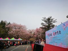 -吉林大学(南岭校区)