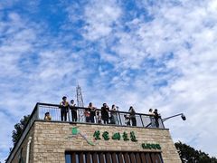 -紫金山山顶公园