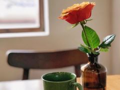 黑咖啡-竹子咖啡bamboo coffee