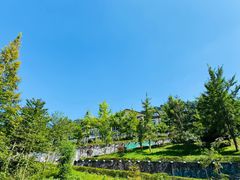 -四川省成都市彭州市白鹿镇