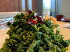 香拌枸杞芽-香厨中餐厅(松北香格里拉店)