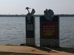 -丁香湖公园