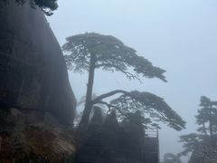 -黄山风景区