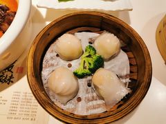 -虾饺妹·酒家(金碧店)