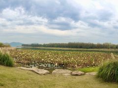 -东湖落雁景区